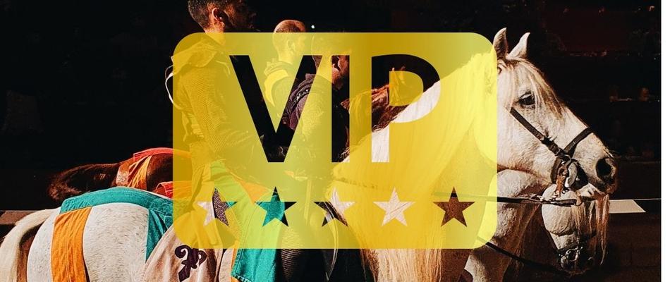 Dinner-Show 'Medieval Challenge' (VIP Pass) Magic Cristal Park Hotel Benidorm Dinner-Show 'Medieval Challenge' (VIP Pass) Magic Cristal Park Hotel Benidorm