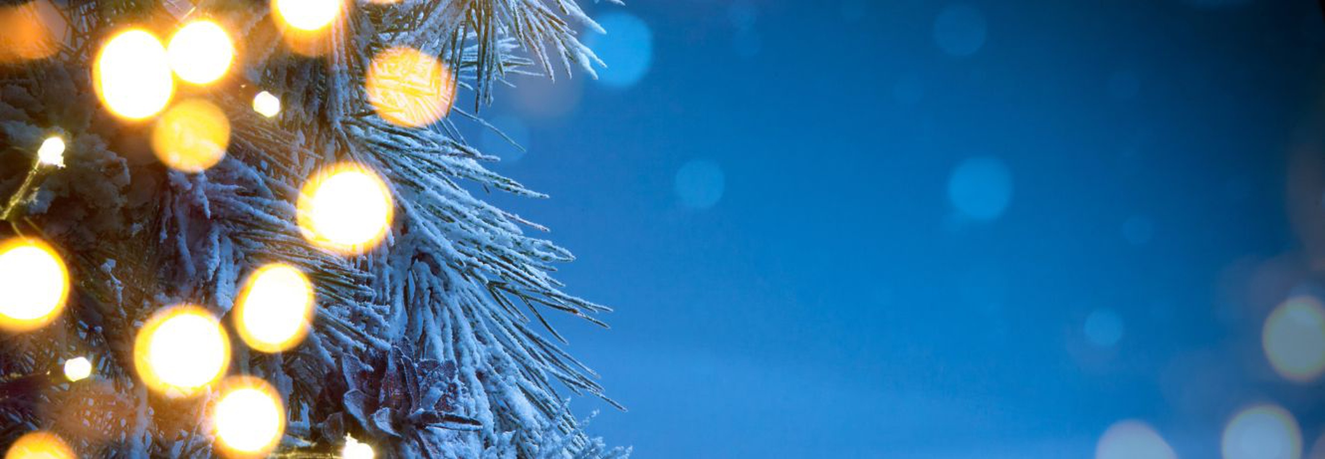 Experience a Magical Christmas Magic Cristal Park Benidorm